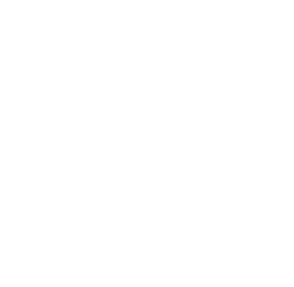 Logo IYC
