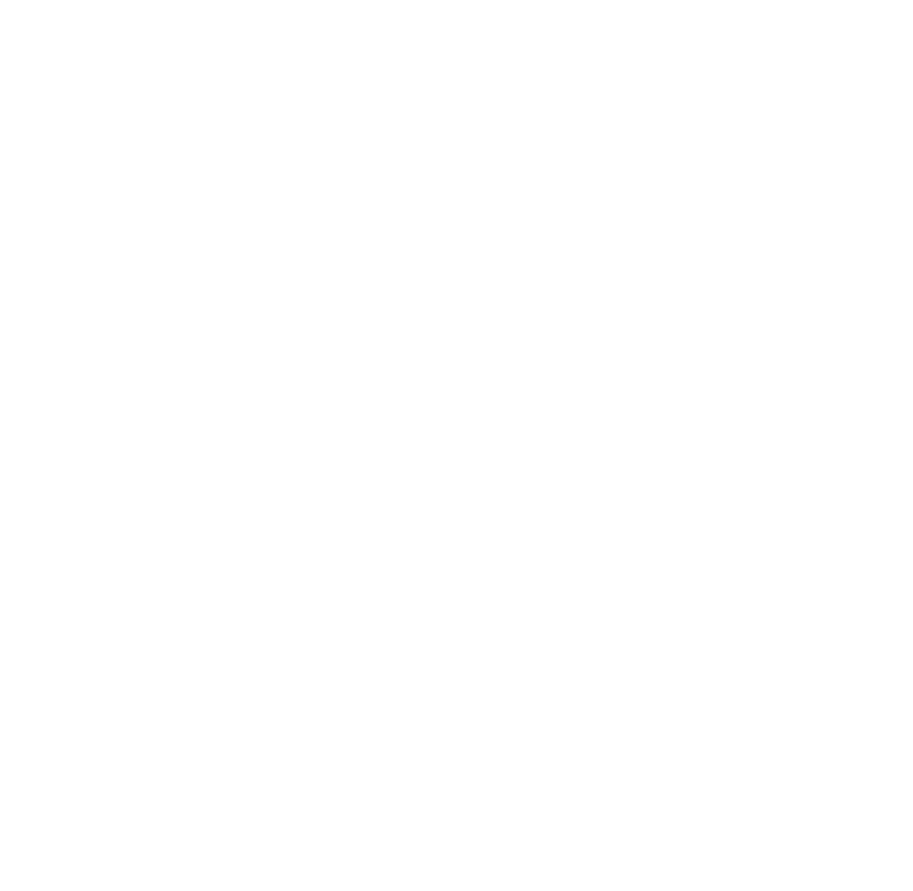 Logo IYC