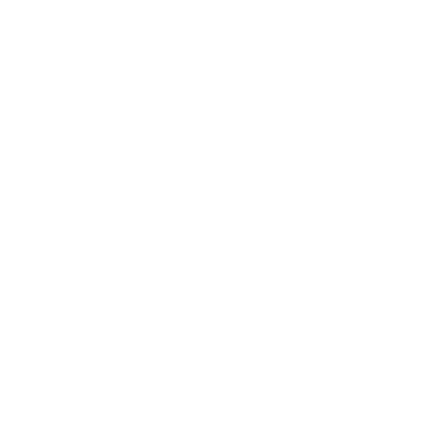 Logo IYC
